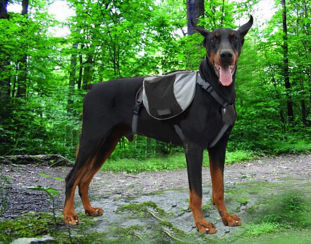 Pet Dog Backpack, Comfort Harness Fit, Carrier, Lightweight, Adjustable Saddlebag, Padded, Pocketed, Outdoor for Small, Medium & Large dogs (Black, l)