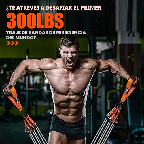 Miniatura 2 de HPYGN Bandas de Resistencia Pesada, Bandas de Ejercicio de 300LBS para Entrenamiento, Bandas de Fitness con Asas, Bandas de Entrenamiento