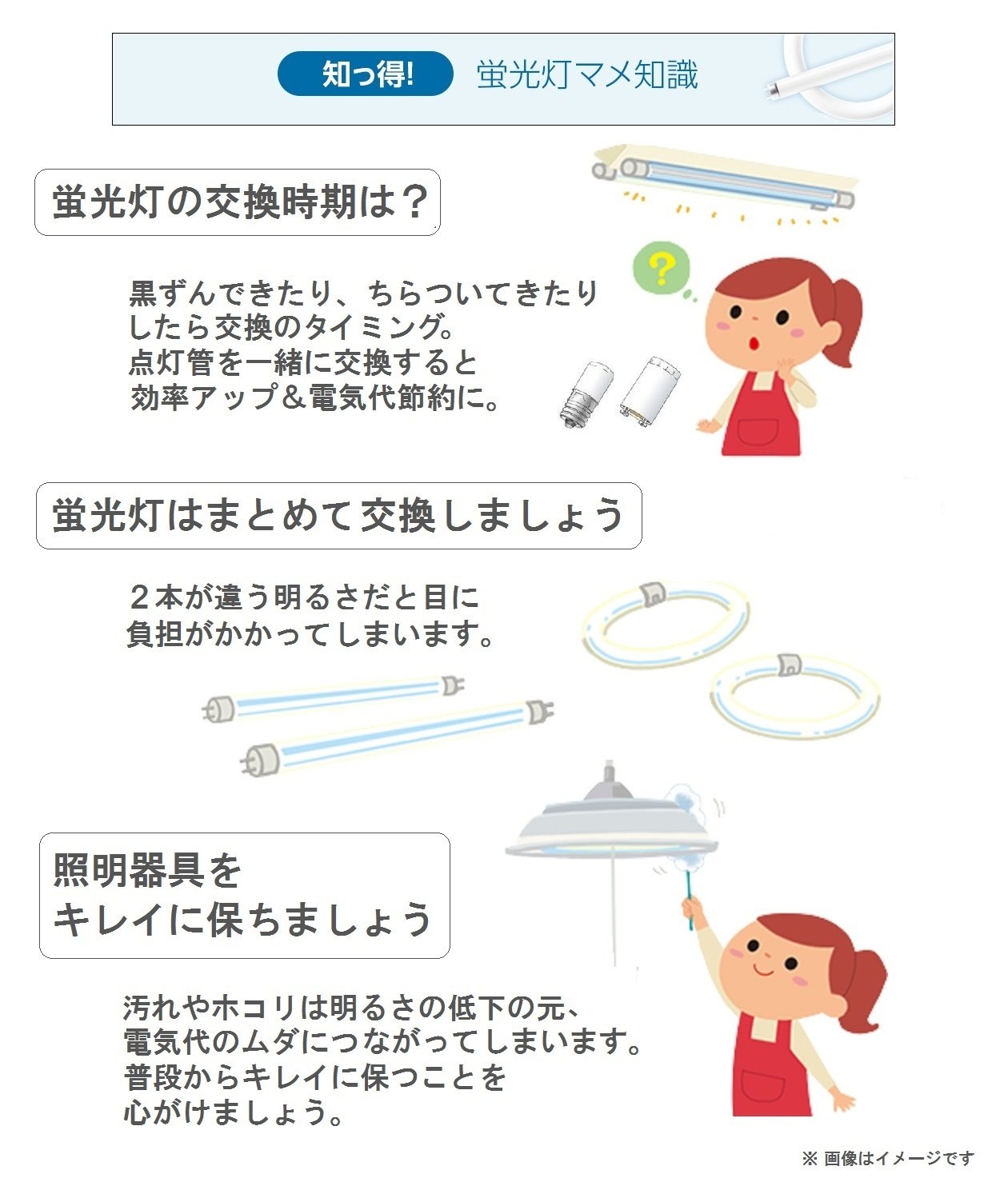 Amazon | パナソニック 丸形蛍光灯(FCL) 30W形 2本入 G10q クール色 