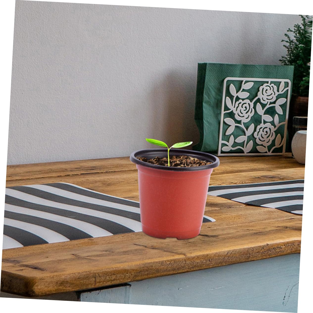 Gatuida 120 Pots pour Semis avec Drainage, Pots de Fleurs Plastique Légers pour Plantes Succulentes et Extérieur