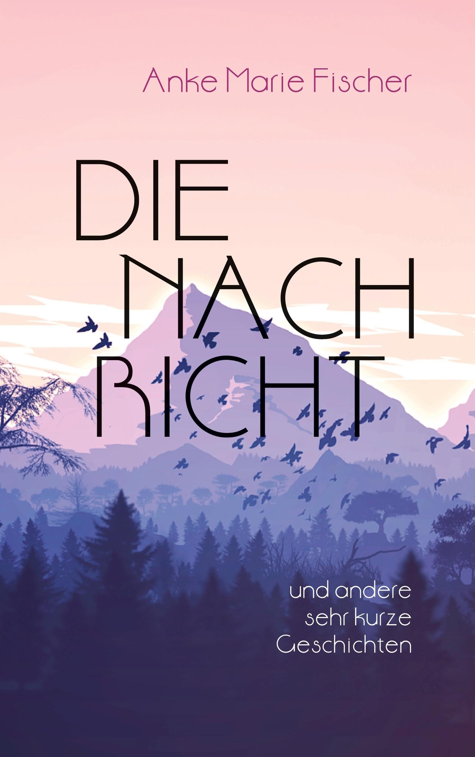 Die Nachricht: Und andere sehr kurze Geschichten
