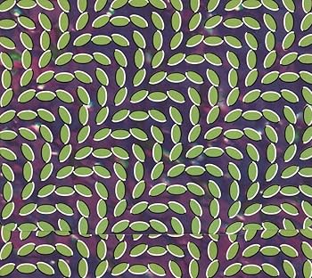 米、欧2LP Animal Collective Merriweather Post Pavilion WIGLLP216X Domino /00520 Animal Collective - Merriweather Post Pavilion [Domino