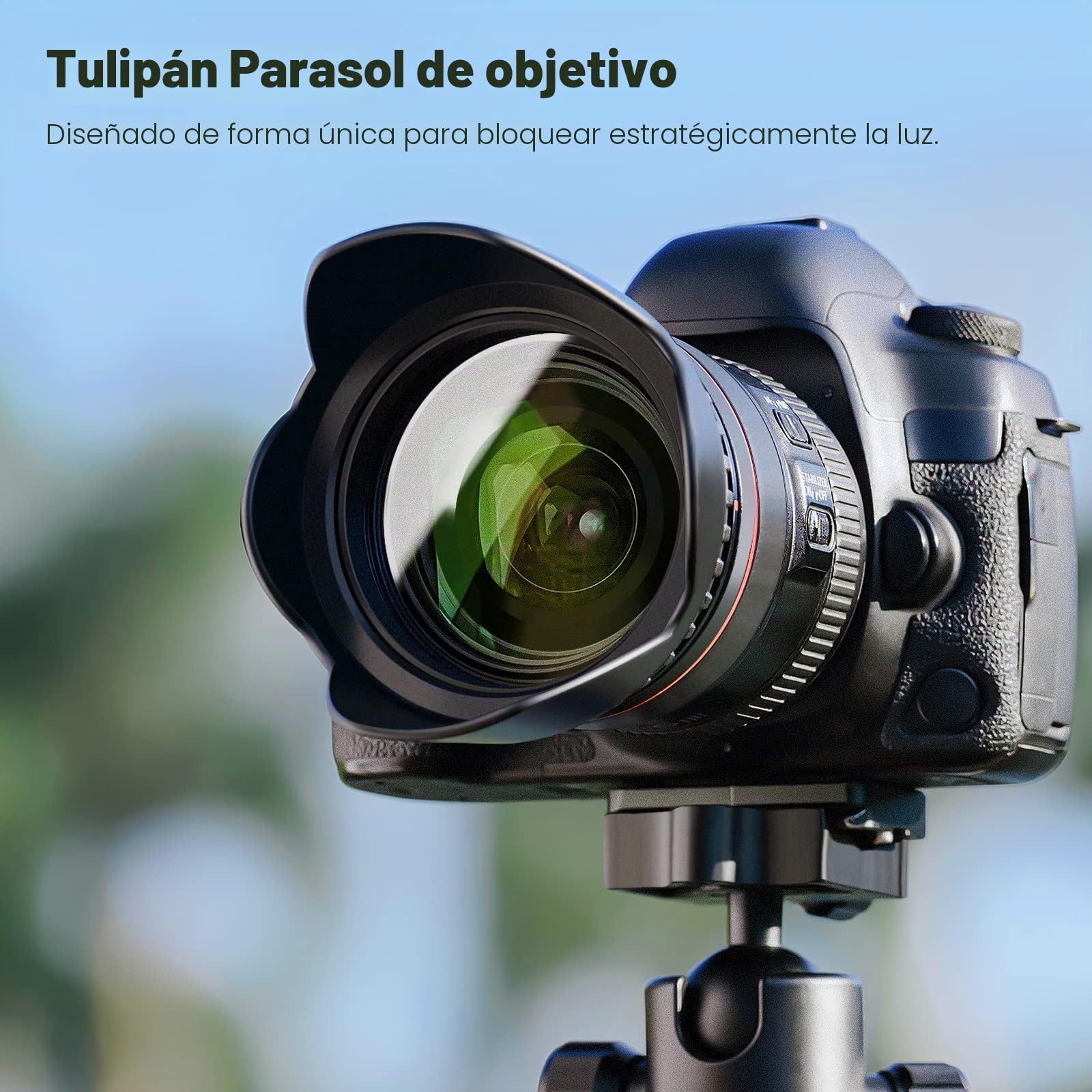 NEEWER Kit de Filtros de Lente de 58mm: UV, CPL, FLD, ND2, ND4, ND8, Parasol y Tapa de Lente Compatible con Canon Nikon Sony Panasonic DSLR Cámaras con Lente de 58mm