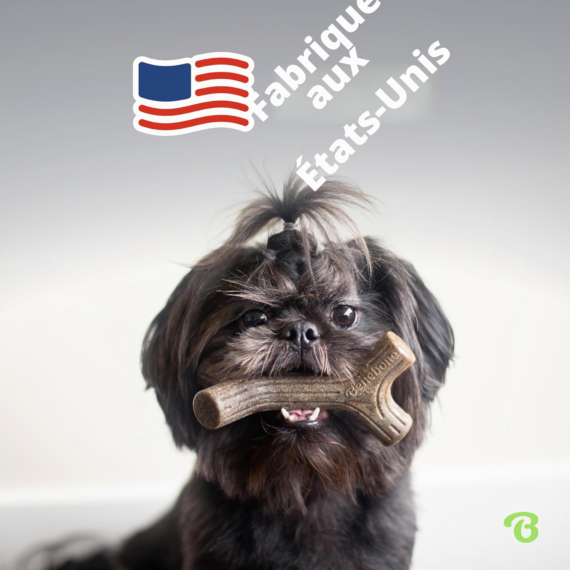 Benebone Boîte de Jouets à mâcher Durable pour Chien avec Wishbone, Fishbone, bâton et zaggler - Taille M