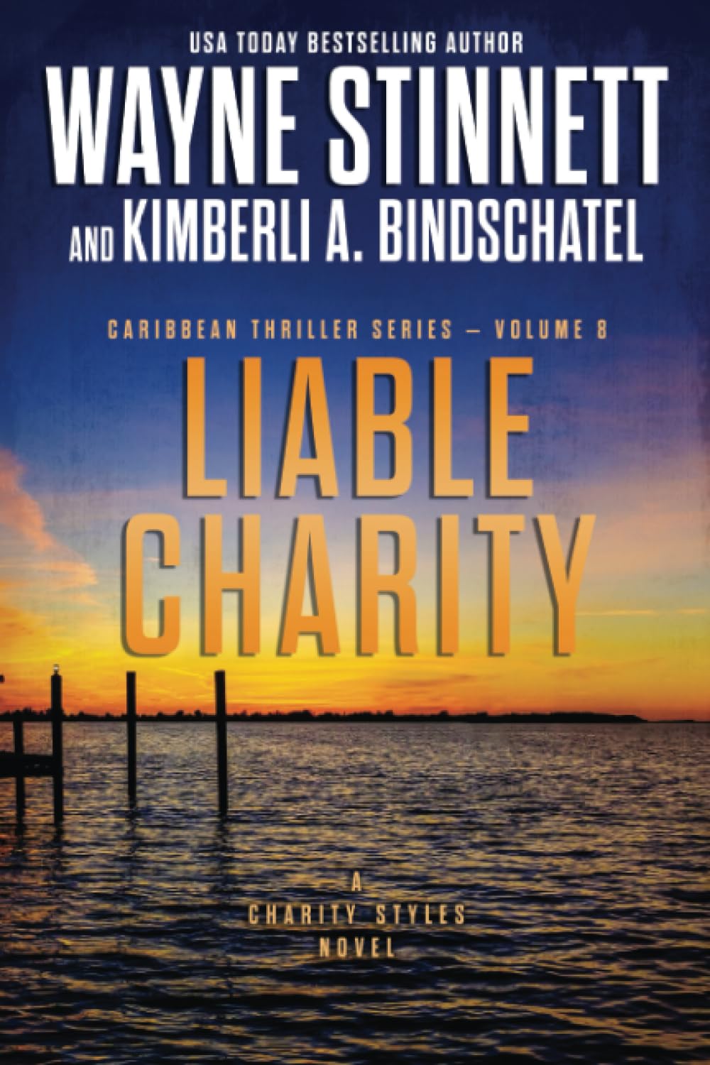Liable Charity: A Charity Styles Novel (Caribbean Thriller Series)