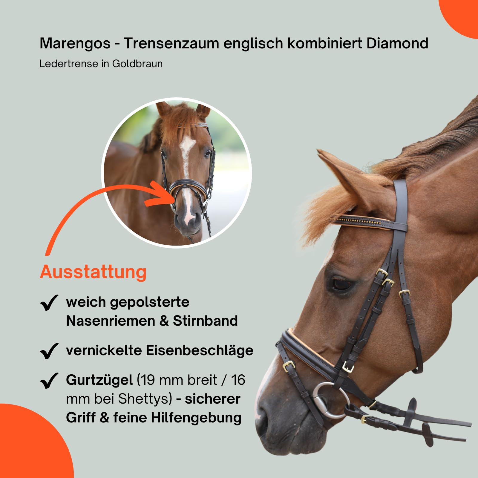 Marengos - Trensenzaum englisch kombiniert Diamond Braun/Gold Pony