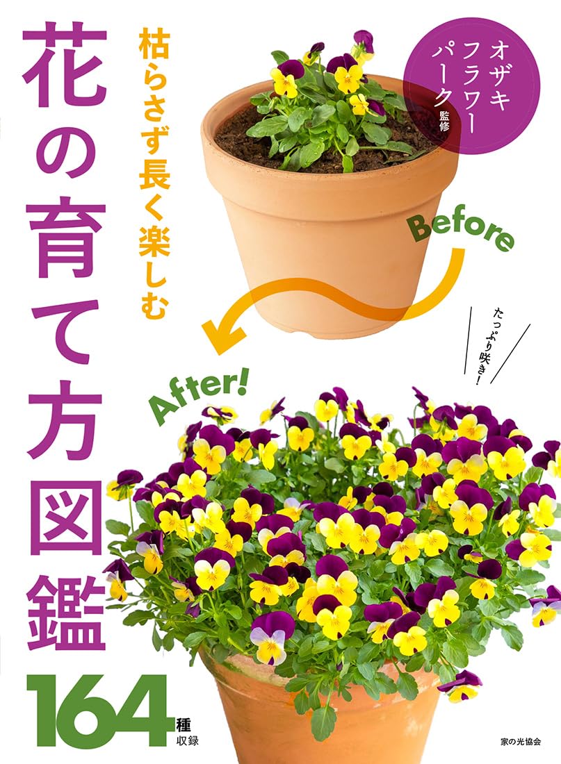 枯らさず長く楽しむ 花の育て方図鑑 | オザキフラワーパーク |本