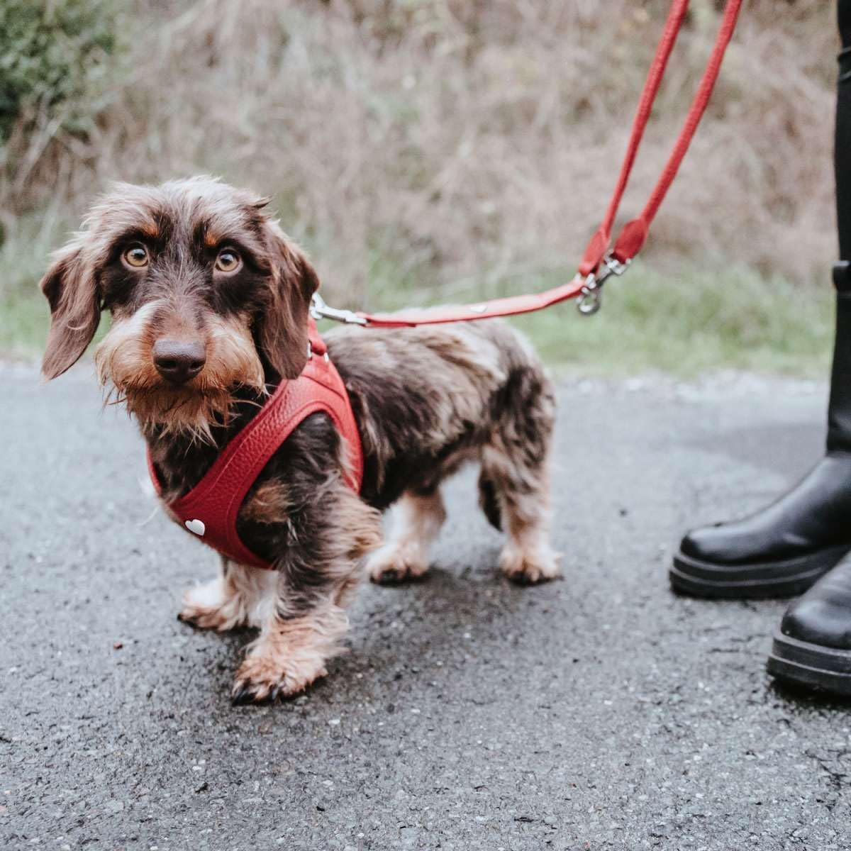 Hunter Hundegeschirr Love, Farbe: rot, weiches Rindsleder, atmungsaktive Mesh-Polsterung, Herz handgenäht, hoher Komfort, Made in Germany, Größe: XS