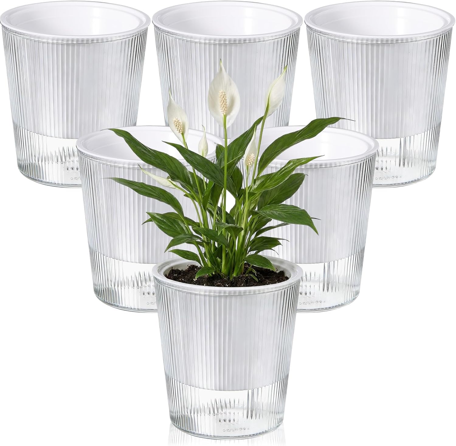 6 Pack Self Watering Pots for Indoor Plants Plastic Vertical Ribbed Semi Transparent Planters, Dual Layer Reservoir for Indoor Succulents Herbs Pothos(Green, White,6.5 x 5.9 Inch)
