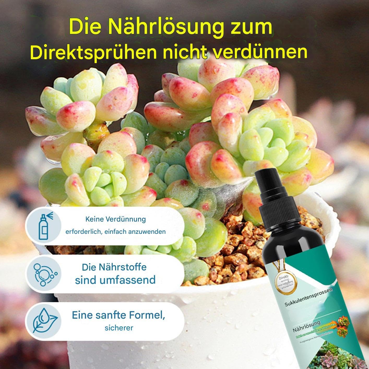 Kakteen Dünger | Luftpflanzen Dünger,100ml Sprungkraft Booster Langzeit-Spray Für Wachstum & Vermehrung Bei Topfpflanzen Innen & Außen