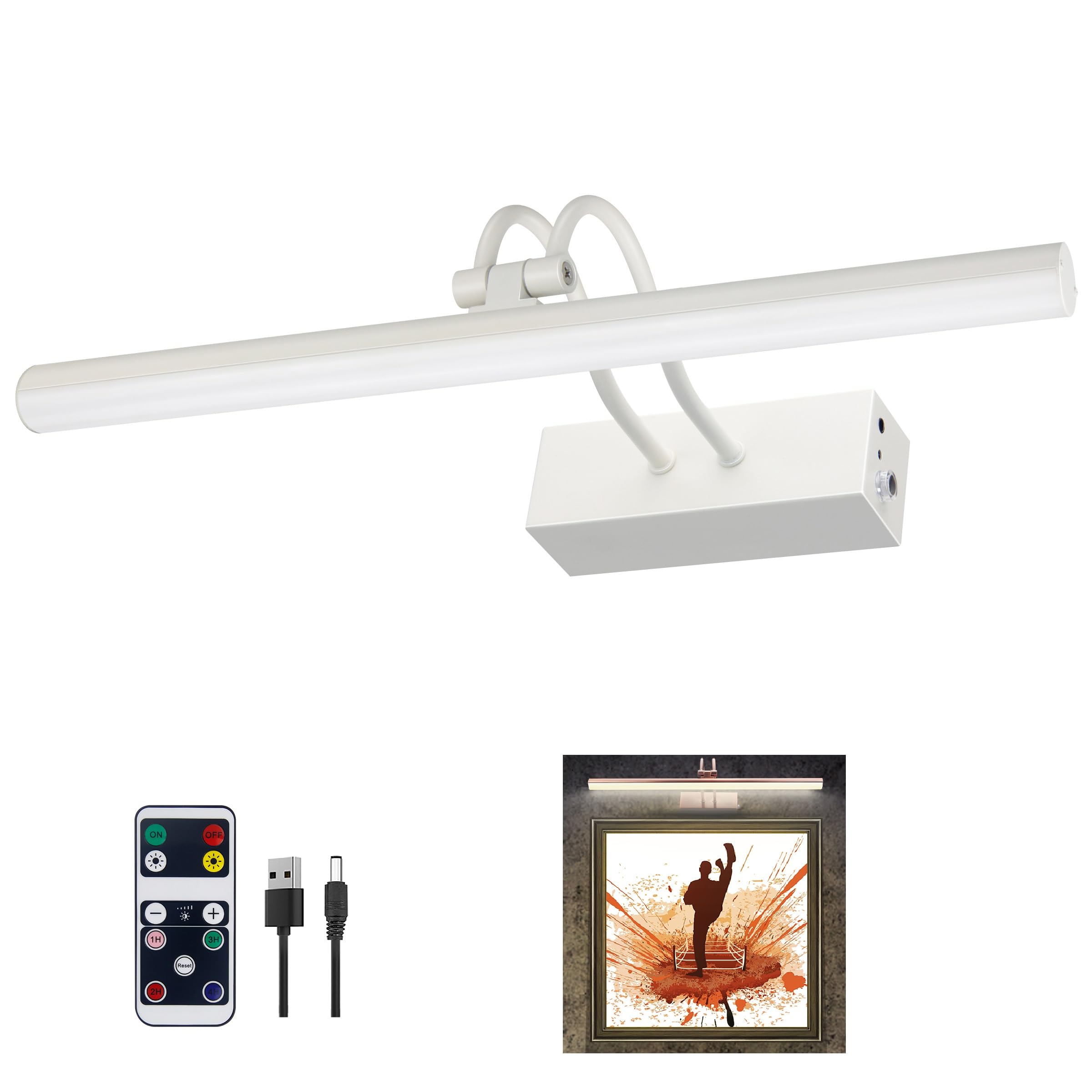 Picture Light,16" Battery Picture Lights for Wall,2Colors Remote Control Display Art Lighting with Timer and Dimmable for Painting,Frame,Portrait,Dartboard-WH