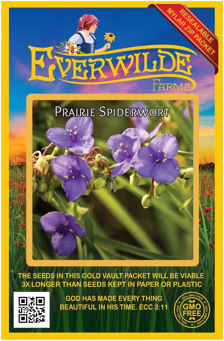 Everwilde Farms - 200 Prairie Spiderwort Native Wildflower Seeds - Gold Vault Jumbo Seed Packet