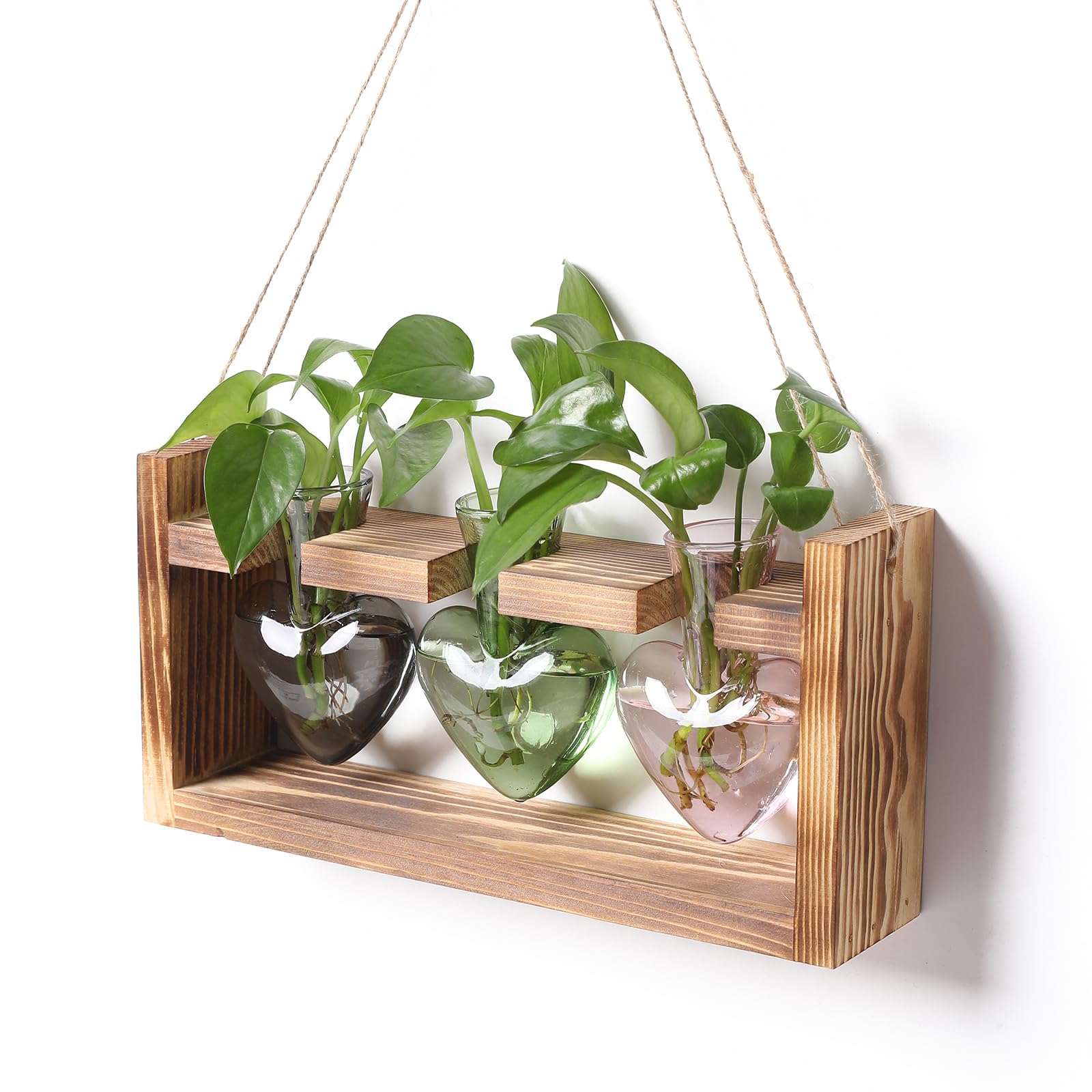 Photo 1 of *See Clerk Notes*Plant Terrarium Propagation Stations Hydroponics
