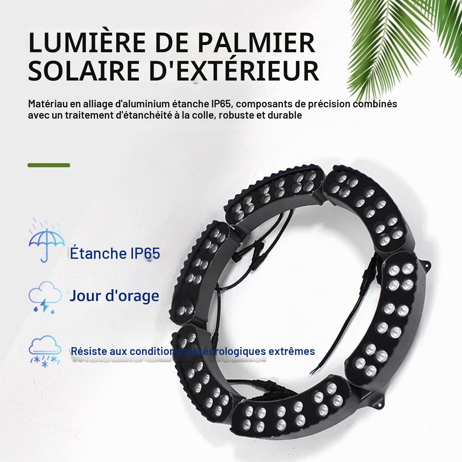 Anneau lumineux Projecteur LED circulaire d'extérieur en forme de palmier, 7 couleurs, changement de couleur automatique en 5 secondes, 220 V CA.(6 SETS)
