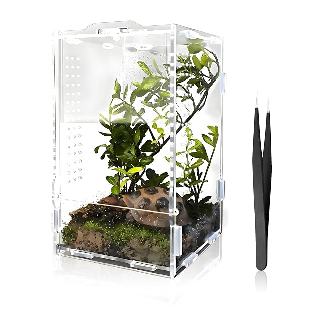 Faunarium, Terrario acrílico, araña, terrario de insectos, caja de cría