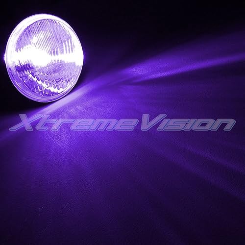 Vista 28 de Bombillas de reemplazo Xtremevision HID Xenón , 5000K - Blanco brillante