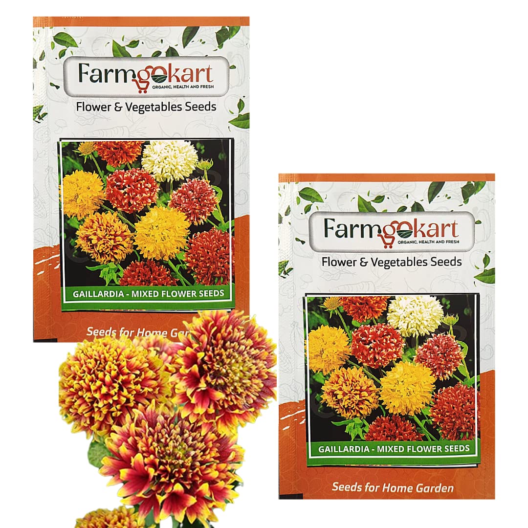 Farmgokart Pack Of 2 Packets Of GAILLARDIA - DOUBLE MIXED -Flower Seeds|Easy To Grow| Best Suitable For Terrace And Home Gardening| Quality Flower Seeds Pouch (B09NYD21XC) Amazon Price History, Amazon Price Tracker