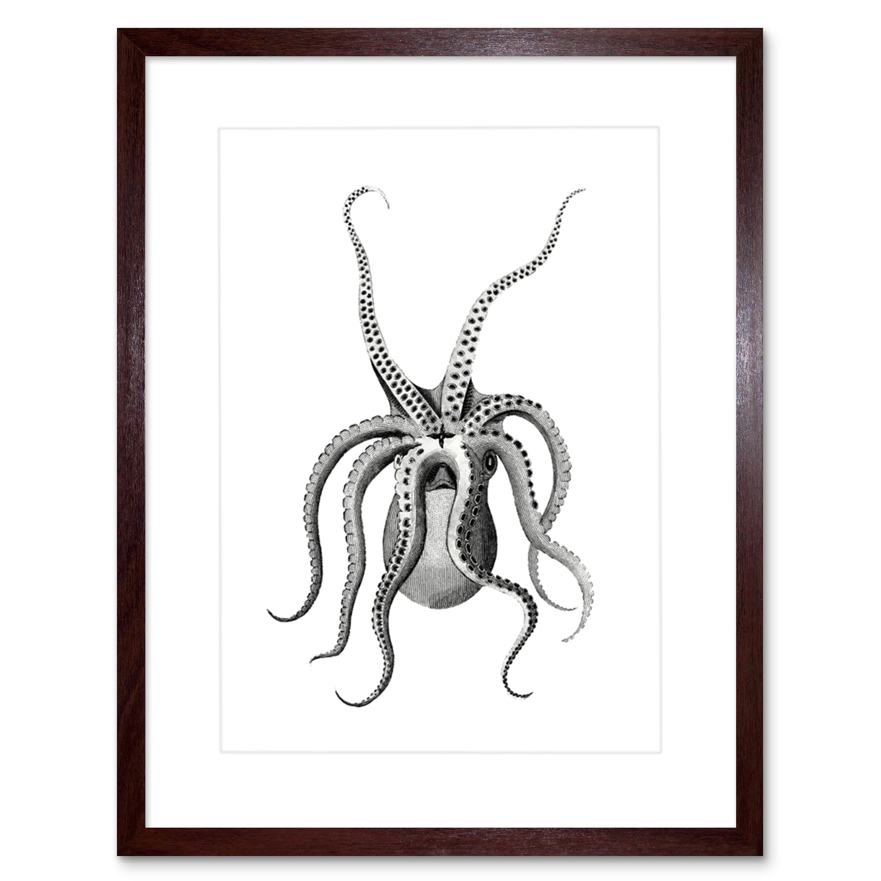 Wee Blue Coo Octopus Upside Down Illustration Art Print Framed Poster Wall Decor 9x7 inch