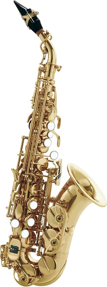 Amazon.co.jp: アンティグア Antigua カーブド・ソプラノ