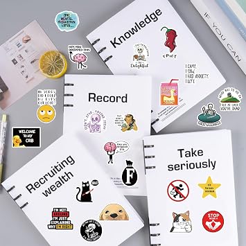 100pcs Prank Meme Decals, Classic Funny Graffiti Colorful Waterproof Vinyl Stickers for Laptop Skateboard