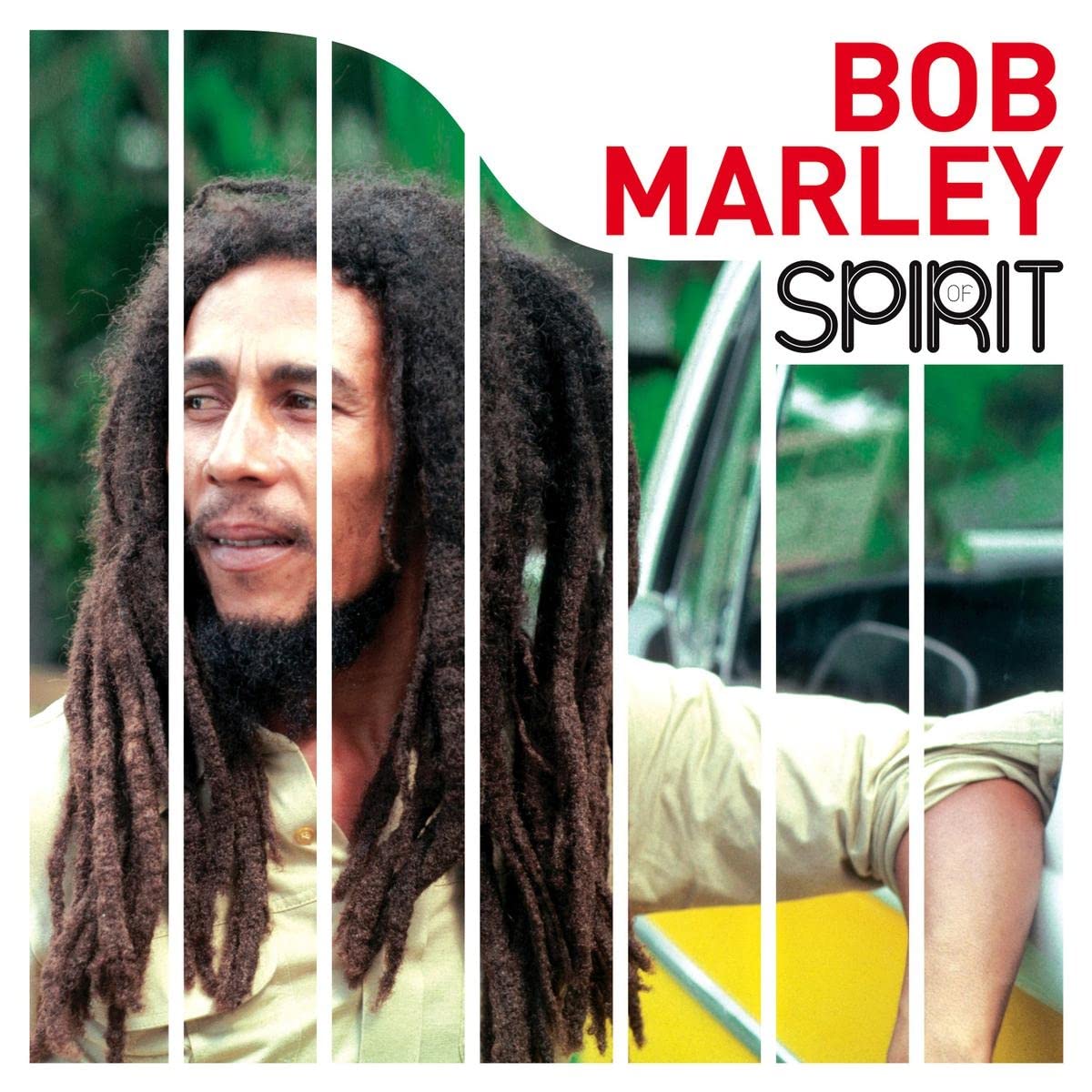 Spirit Of Bob Marley [VINYL]