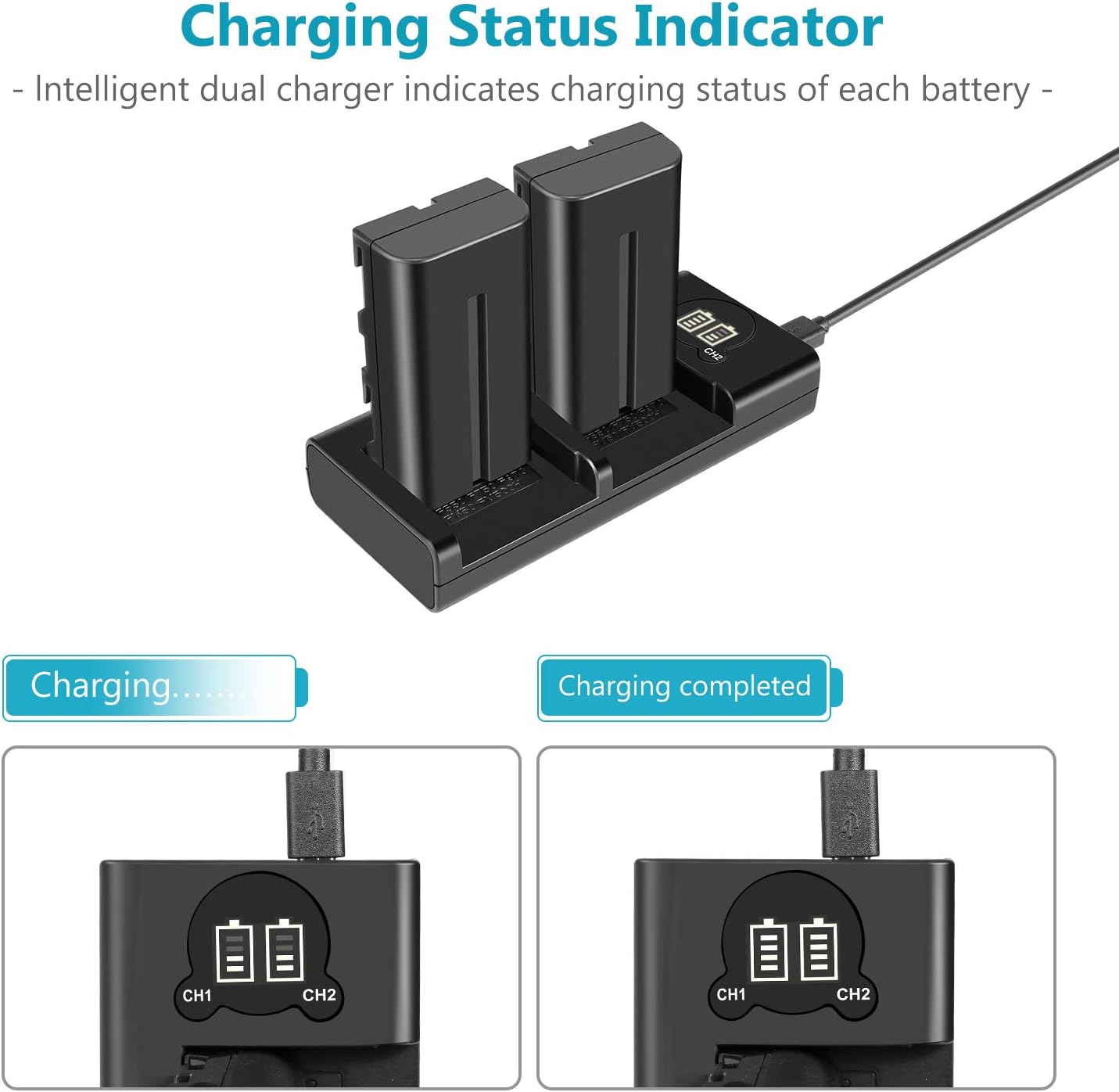 Neewer NP-F550 Battery Charger Set for Sony NP-F970 F750 F960 F530 F570 CCD-SC55 TR516 TR716 and More (2-Pack 2600 mAh Replacement Camera Batteries, Micro USB and Type-C Input Dual Charger)