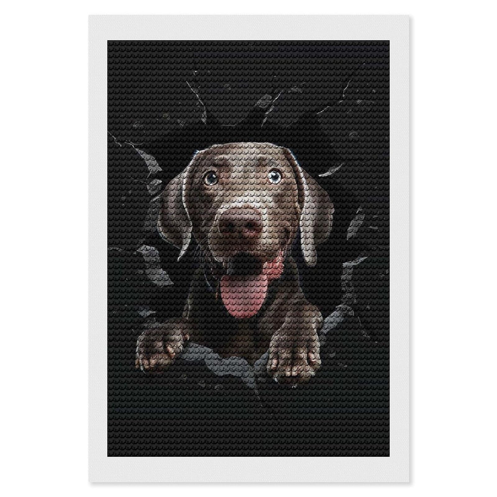 Junmoney Weimaraner Diamond Art Kit 8"x12", Neat Printed Canvas, Finish and Display, Relaxing DIY Hobby, Living Room Decor