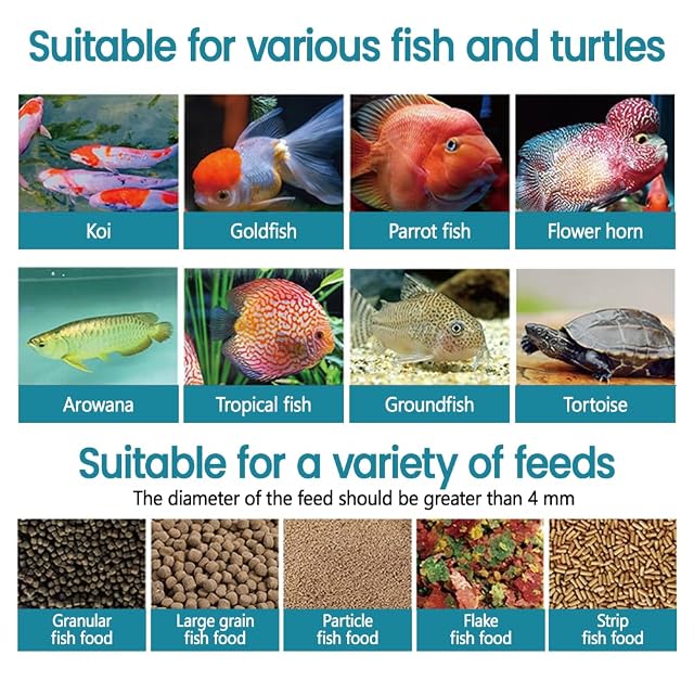 Foto 8 de 8 de Dispensador de acuario automático de pescado