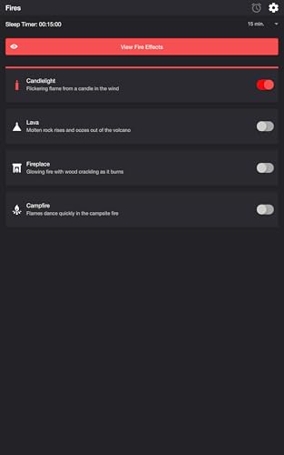 Fire Simulator