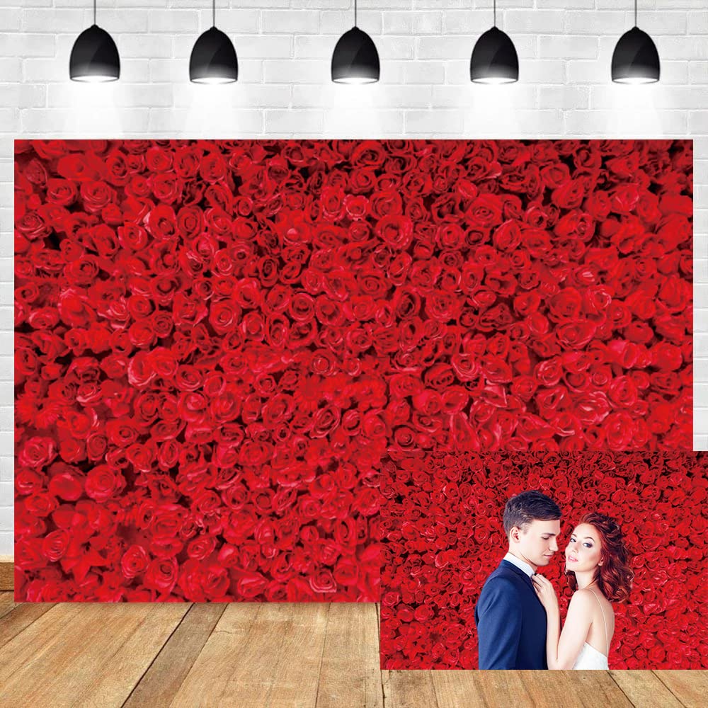 6.1x3 m rote Rose Fotografie Hintergrund rote Rose Blume Wandhintergrund Rose Blumen Hochzeit Brautdusche Geburtstag Party Dekoration Hintergrund Banner Valentinstag Muttertag Foto Hintergründe