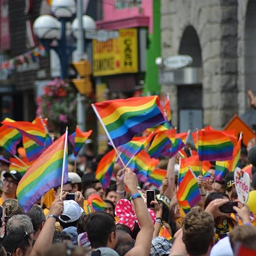 Miniatura 7 de KIMOBER Juego de 56 banderas de orgullo arcoíris, pequeñas banderas de mano arcoíris mini gay stick para decoraciones de fiestas LGBT, suministros