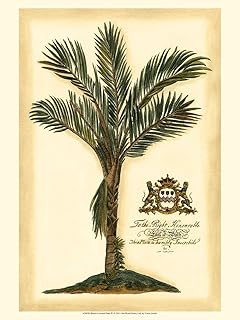 ART.COM Wall Art Print British Colonial Palm IV, 12" x 16"