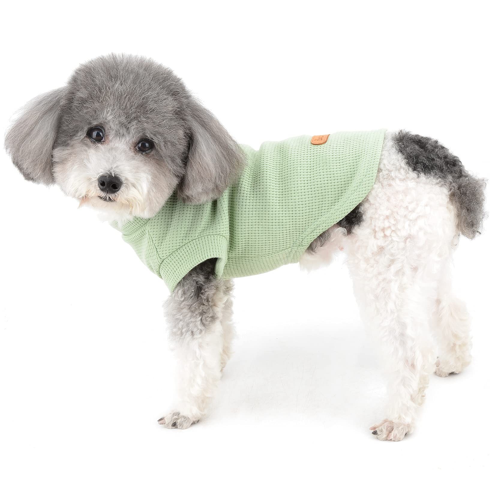 Ranphy Pet Clothes for Small Dog Shirt Puppy Cat Sleeveless Vest Soft Mesh Breathable Tank Top Summer Apparel Chihuahua Yorkshire Terrier Pullover Clothing