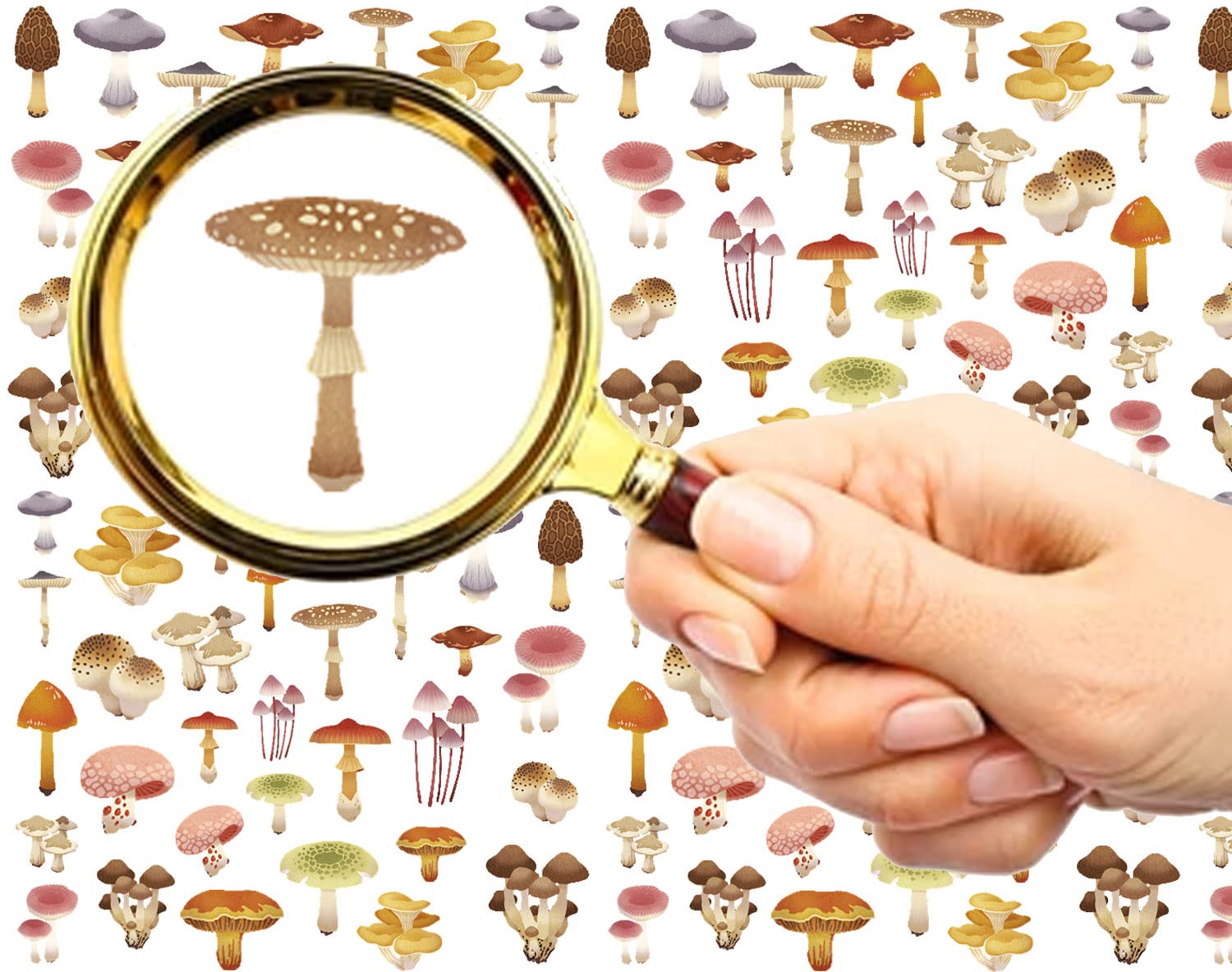 FLONZNAIL Nail Stickers Decal Transfers (5 Sheets) Mushroom Watercolor Vintage Illustration