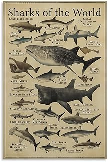 Types of Shark Poster Shark Nowledge Education Canvas Art Poster Wall Art Canvas Print Office Bedroom Living Room Decor 08x12inch(20x30cm) Unframe-style
