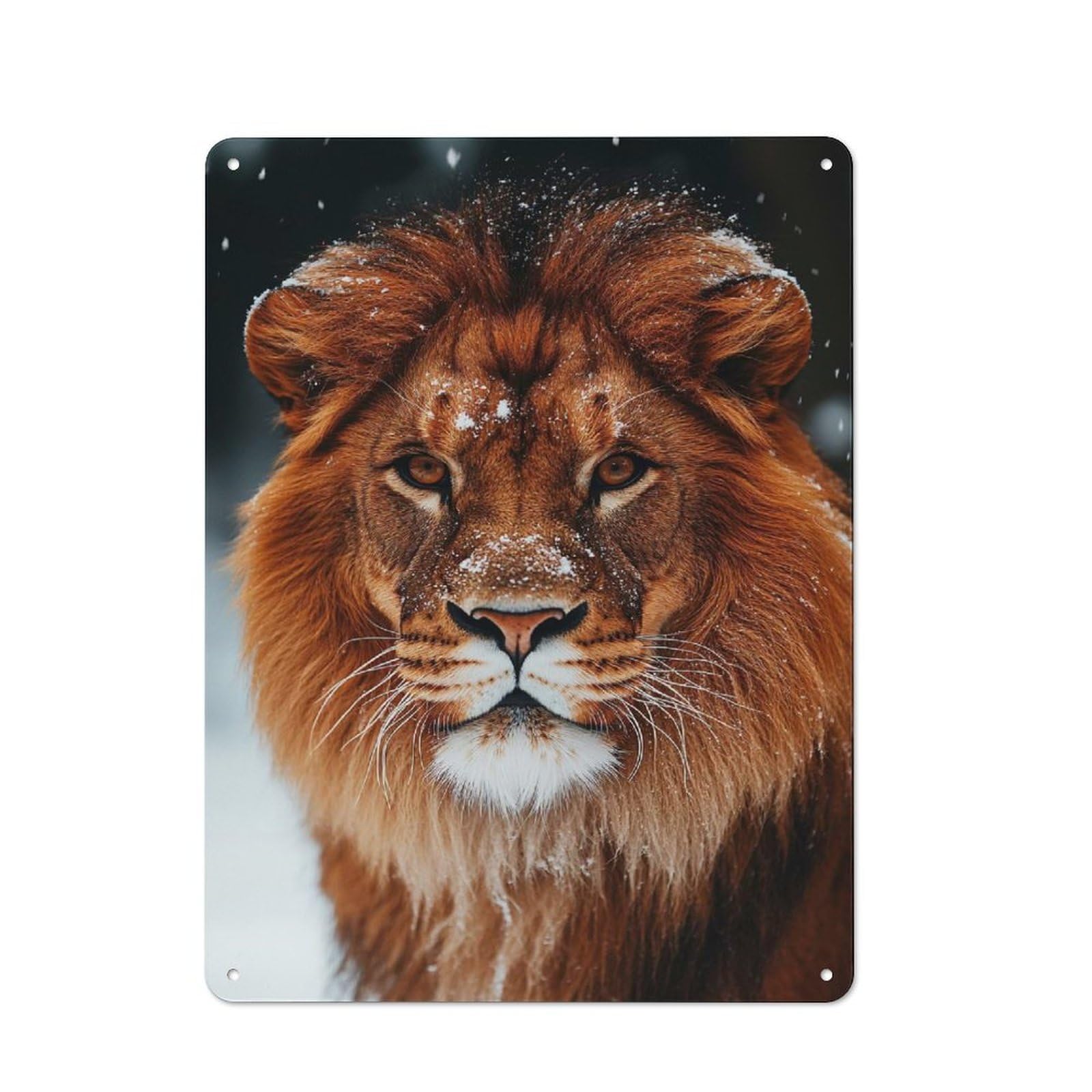 Junmoney Style-8 Lion Portrait In Winter Snow Vintage Metal Sign 40X30cm For Lounge Or Reading Corner, For A Room Refresh Centred On Metal Wall Decor