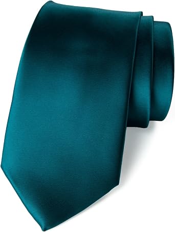 Spring Notion Mens Solid Color Satin Microfiber Tie, Regular and Skinny Width