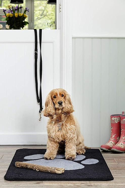 pet rebellion runner