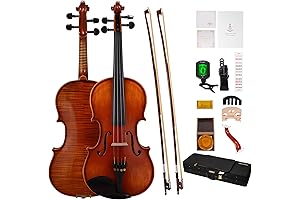 PHOENIX Violin: The Perfect Start for Musical Journeys