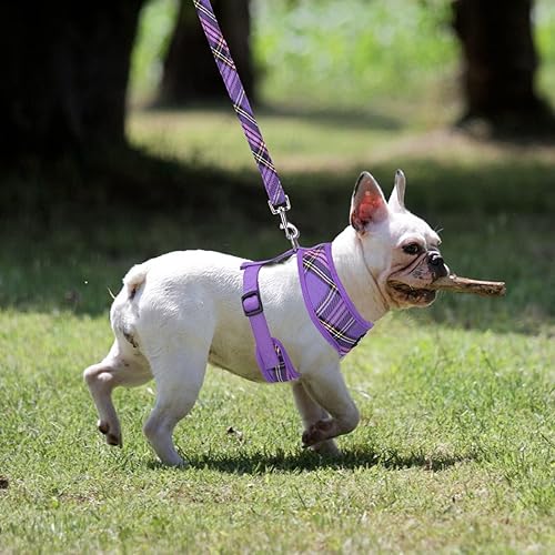 Miniatura 88 de Pupteck - Arnés para perro, chaleco de malla suave con relleno cómodo para cachorros, perros y gatos, evita los tirones, color negro y blanco