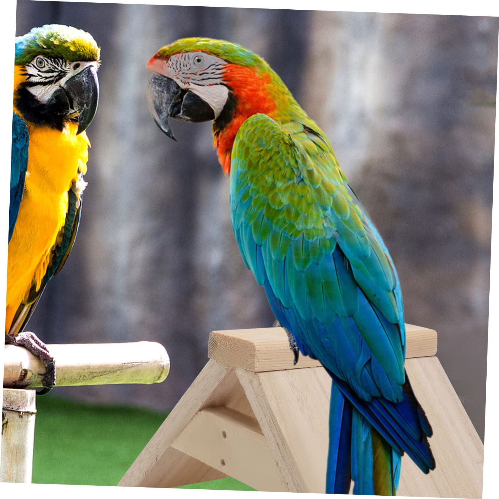 balacoo Lot de 2 perchoirs en bois pour pigeons, perchoirs en bois durable pour colombe hirondelle