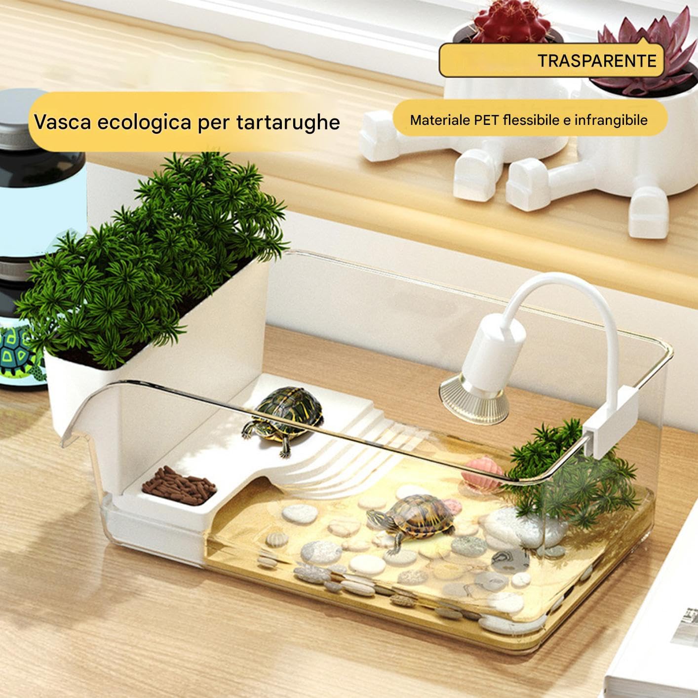 Vasca Per Tartarughe,Riposo per Tartarughe | Terrario Trasparente per Animali Domestici Rettili Casa Scuola Educazione Scienze Natura