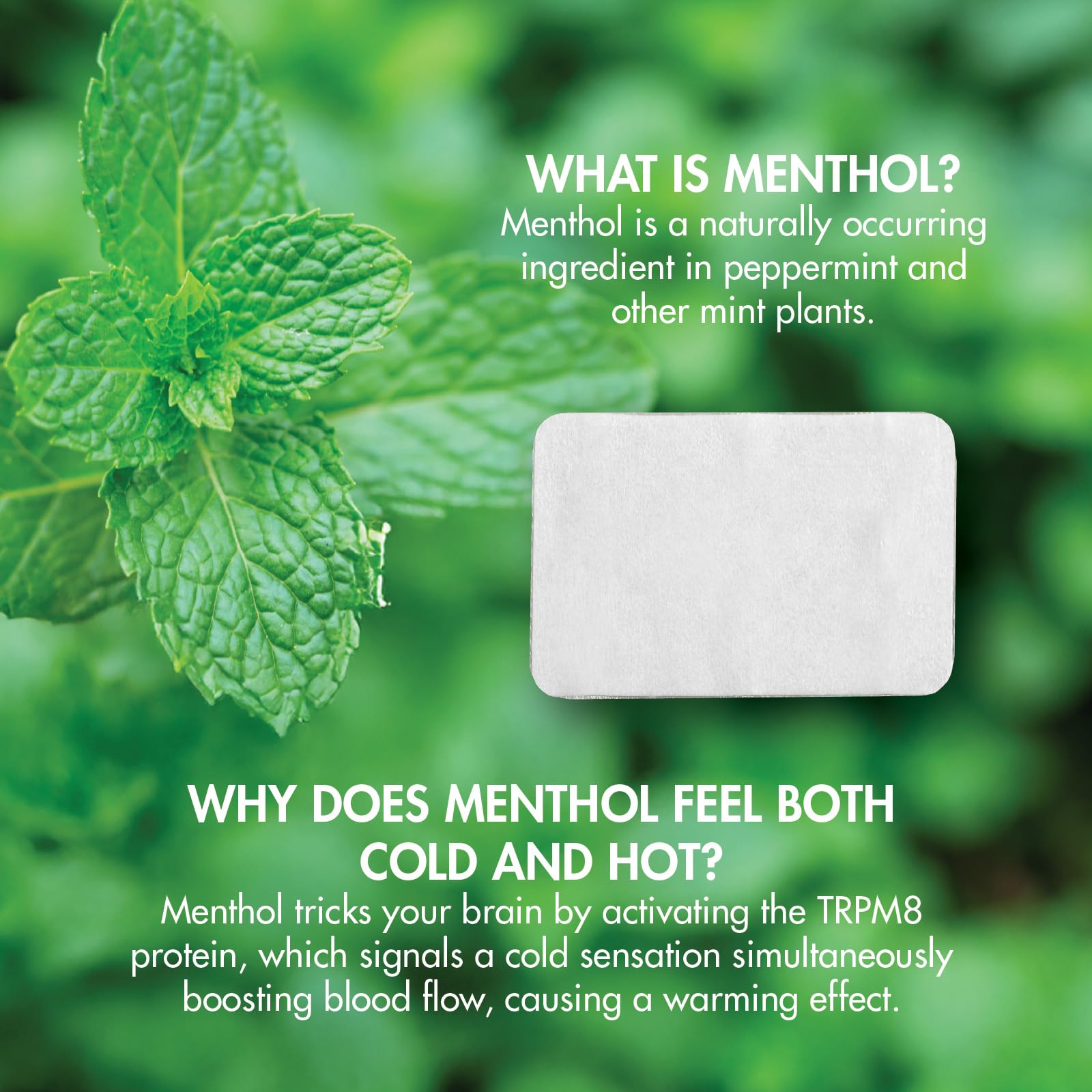 HealthWise Menthol Cold & Hot Patches - Pain Relief -9