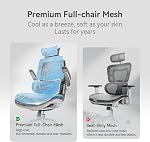 SIHOO M59AS chaise de bureau ergonomique, chaise de bureau 3D Accoudoirs, chaise d'ordinateur avec double conception du dos et support de lombaire dynamique adaptatif