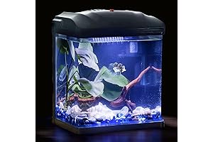 Betta Fish Tank Self-Cleaning Aquarium with Light