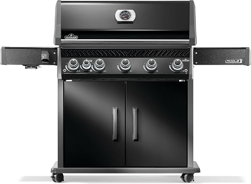 Napoleon Rogue PRO 625 5-Burner Natural product photo (Gas Grills) — ScooterReviewPro review