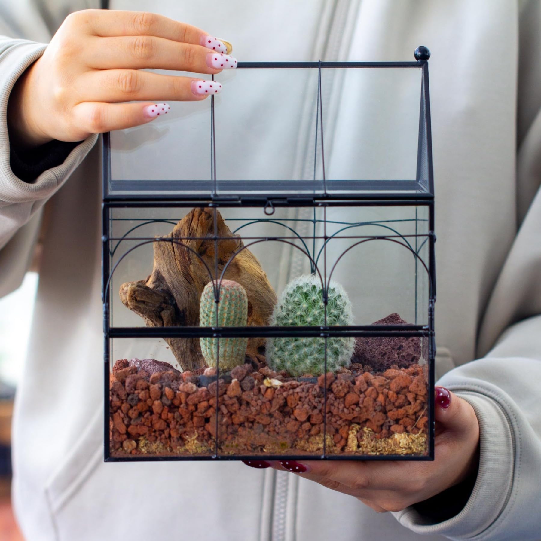 NCYP 19x12,5x23 cm Glasgehäuse mit Belüftungslöchern für Insekten, Spinnen, schwarz kleine geschlossene in Hausform mit vorne öffnende Tür (Ohne Pflanzen und Requisiten)