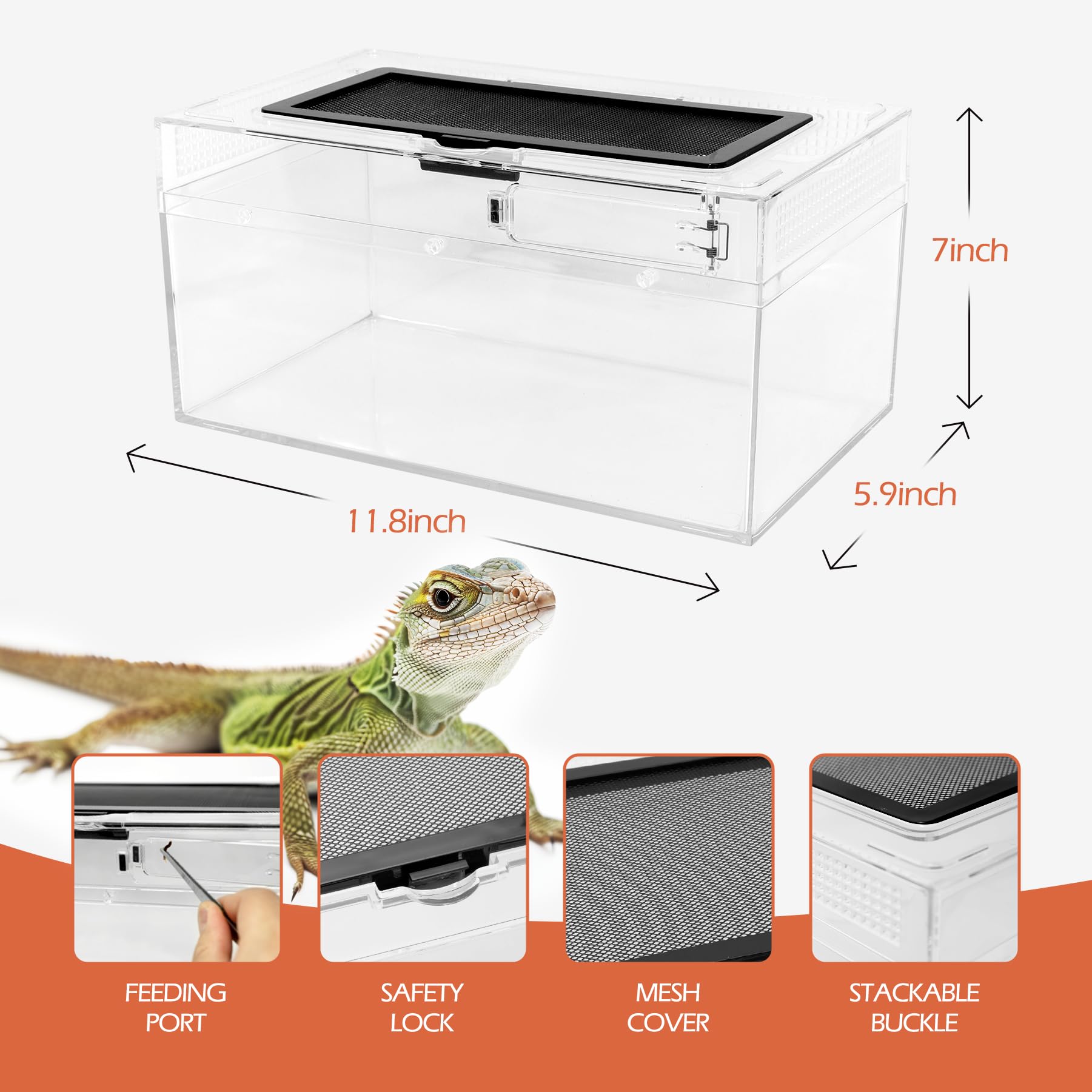 4 Künstliche Terrarien-Pflanzen Mit Saugnapf – Lebensechte Deko Für Bartagamen, Geckos & Amphibien