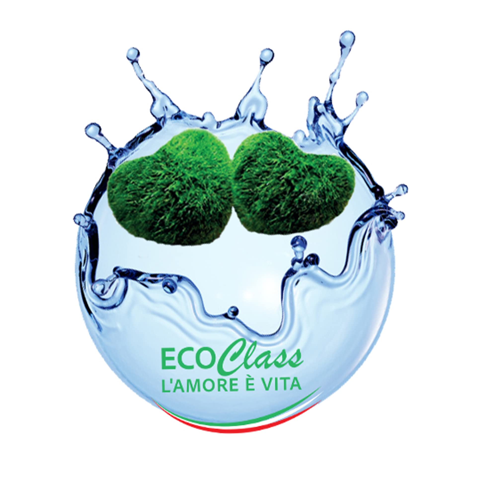 Coppia di Marimo selezionati e puliti in bottiglia di vetro da 500 ml con istruzioni di mantenimento e cenni storici