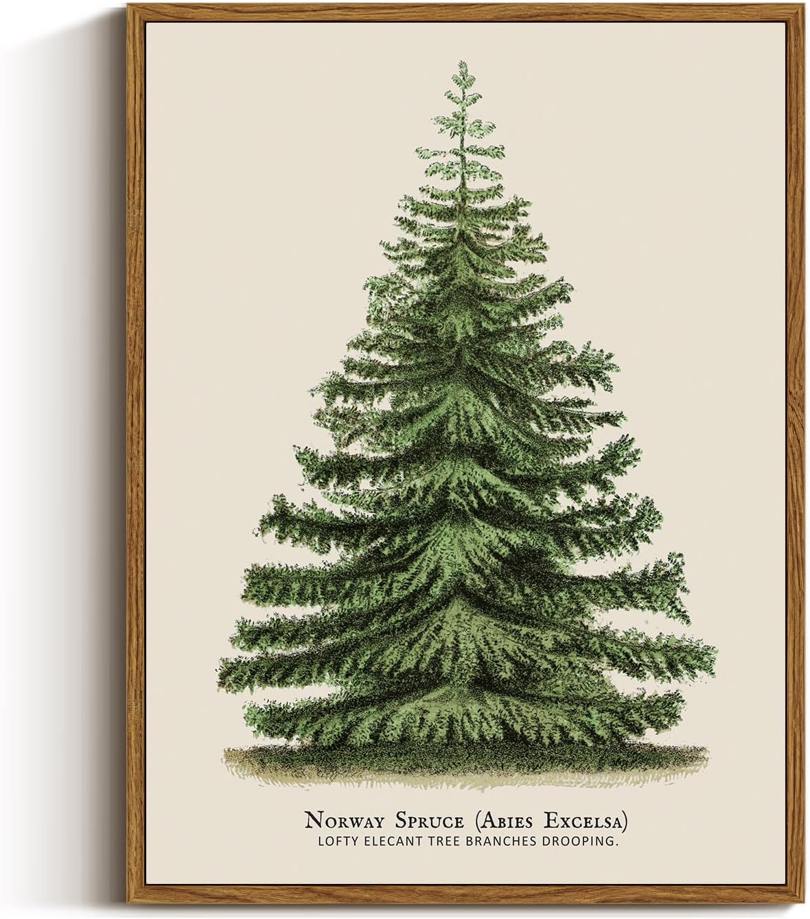 Framed Canvas Wall Art, Vintage Christmas Decor, Living Room Botanical Fir Pine Tree Winter Decor for Bedroom Bathroom, Xmas Holiday Decorations Gifts, 12x16 Inch